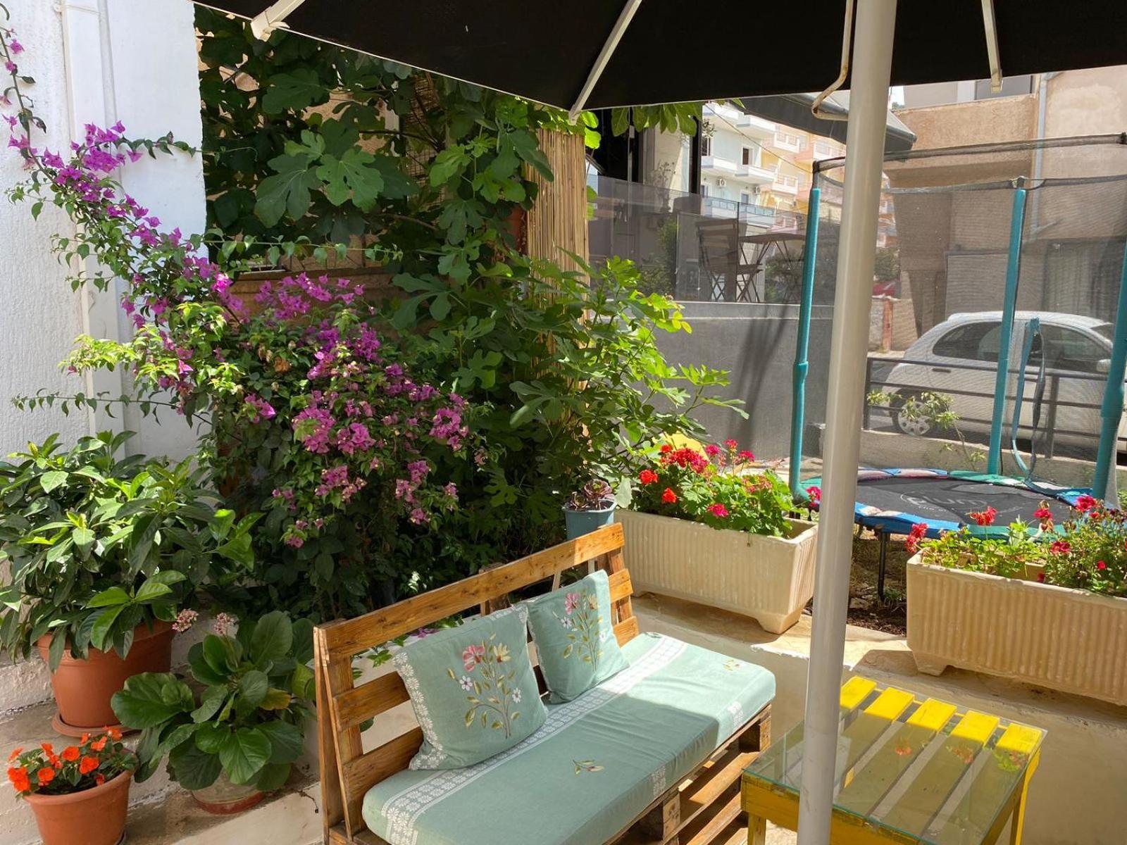 Eden Sarande